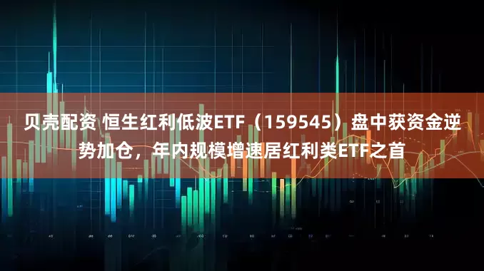 贝壳配资 恒生红利低波ETF（159545）盘中获资金逆势加仓，年内规模增速居红利类ETF之首