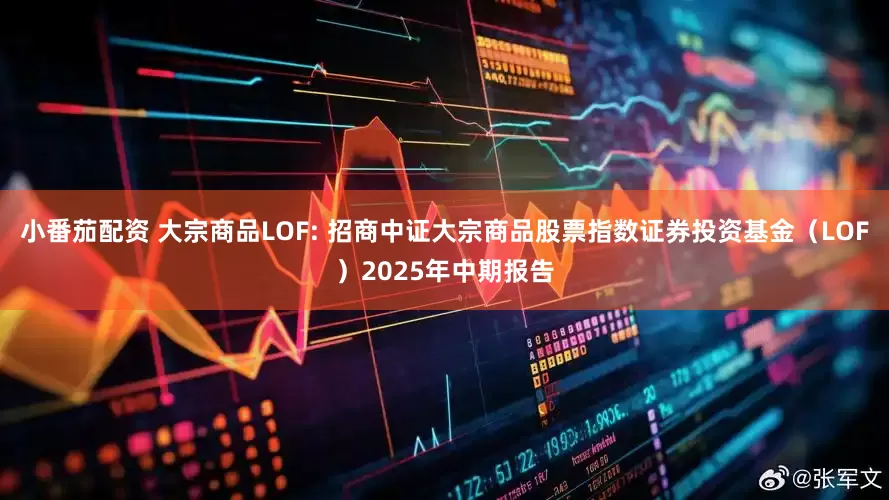 小番茄配资 大宗商品LOF: 招商中证大宗商品股票指数证券投资基金（LOF）2025年中期报告