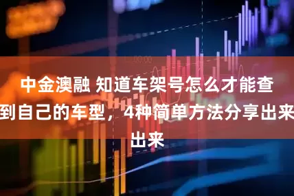中金澳融 知道车架号怎么才能查到自己的车型，4种简单方法分享出来