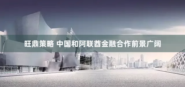旺鼎策略 中国和阿联酋金融合作前景广阔