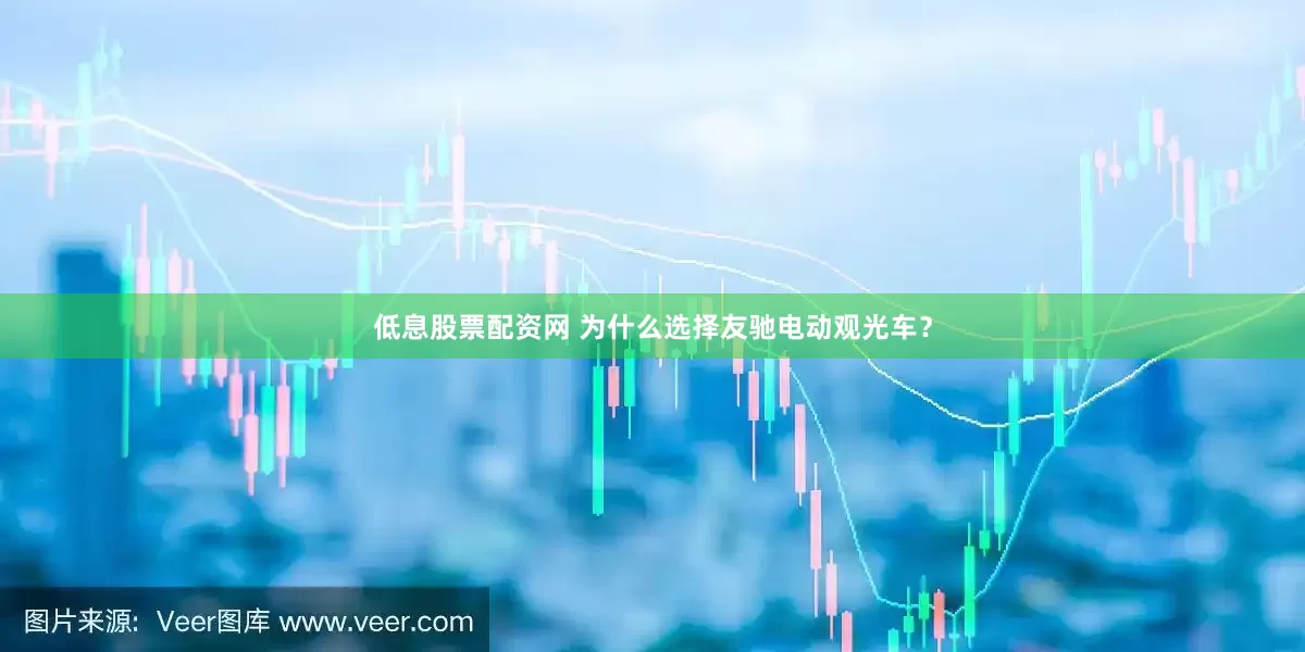 低息股票配资网 为什么选择友驰电动观光车？