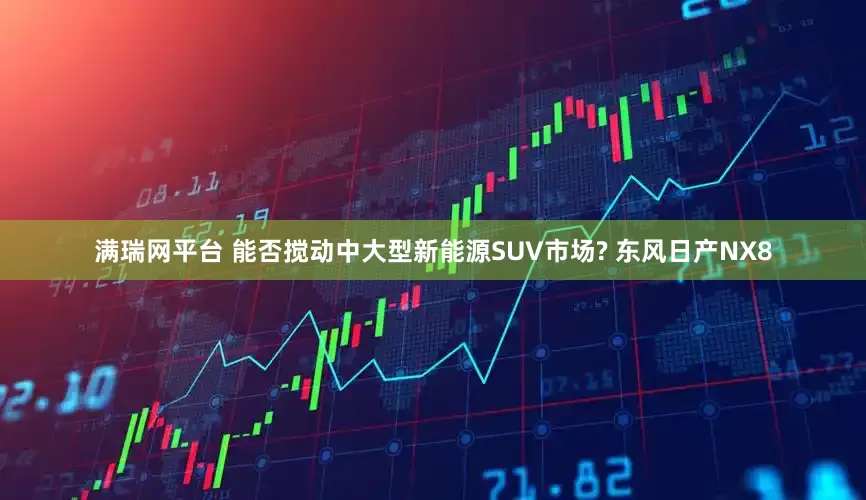 满瑞网平台 能否搅动中大型新能源SUV市场? 东风日产NX8
